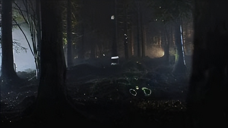 遭遇狼群,遇到狼群攻击怎么办