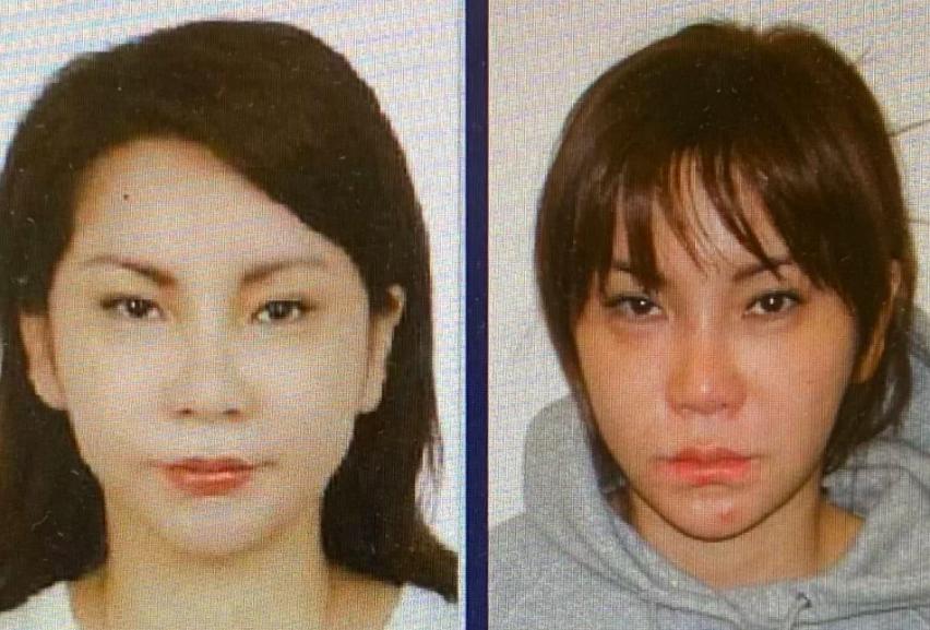 5骞存境绉绘皯绛捐瘉鏁版嵁鏇濆厜,婢虫床闅炬皯绛捐瘉楠楀眬鎻