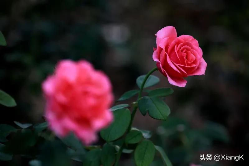 关于云雾的成语,传说中乘云雾飞行的成语