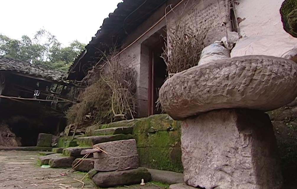 二十岁花季少女毁容手术,重庆15岁花季少女被毁容之后