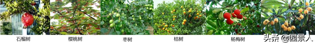 标杆房企园林景观工序,最新热销地产项目景观设计全解密