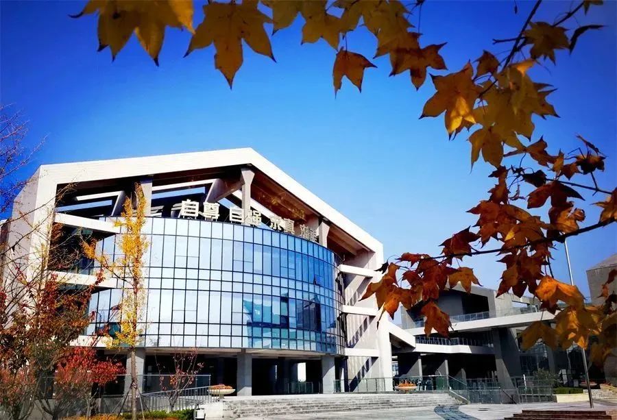 山东省青岛第六中学,山东青岛第六中学