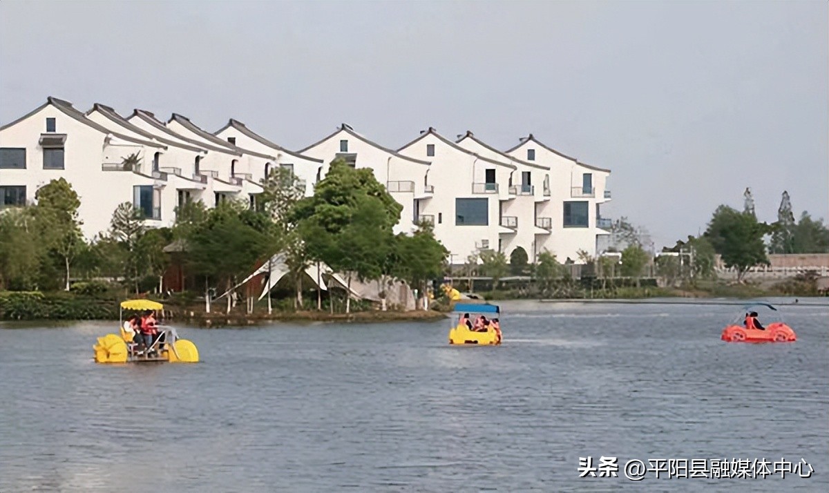 村民入股共享共富！平阳万全镇周垟村带动村民增收致富