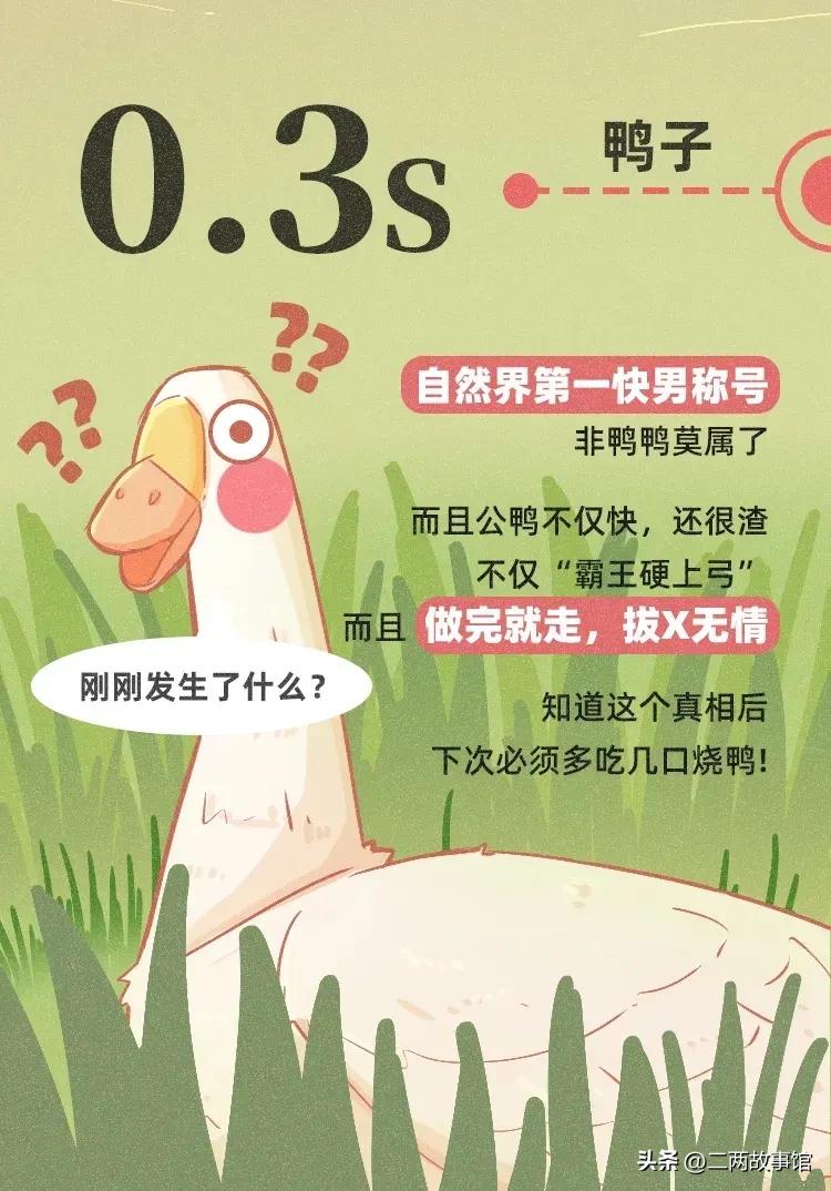 婕敾绻佹畺,婕敾绻佽