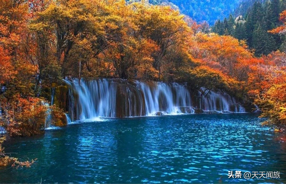 九寨归来不看水四川行,九寨归来不看水峨眉归来不看山