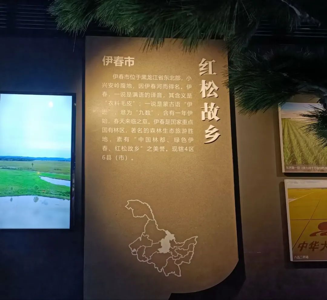 东北黑龙江的历史文化,了解黑龙江省的历史文化