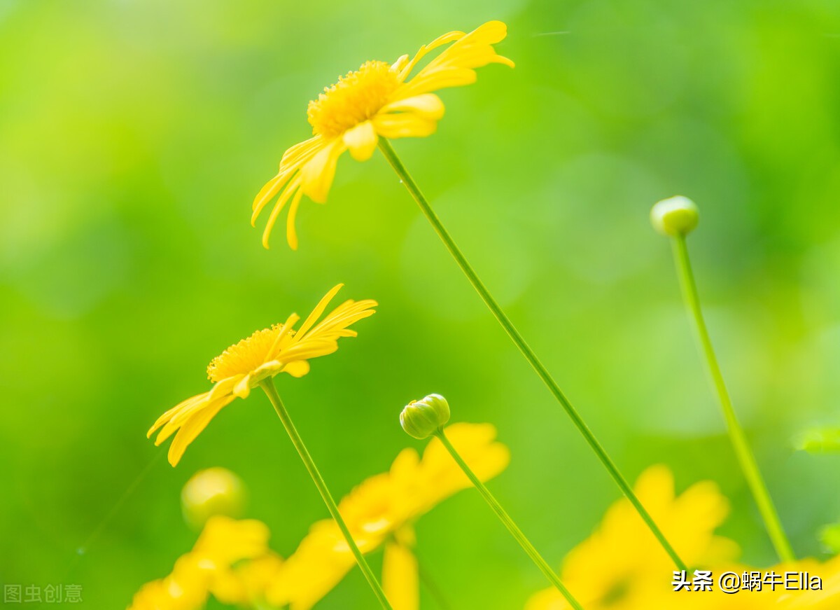 良好的第一印象对客户有什么作用,如何留下良好的第一印象
