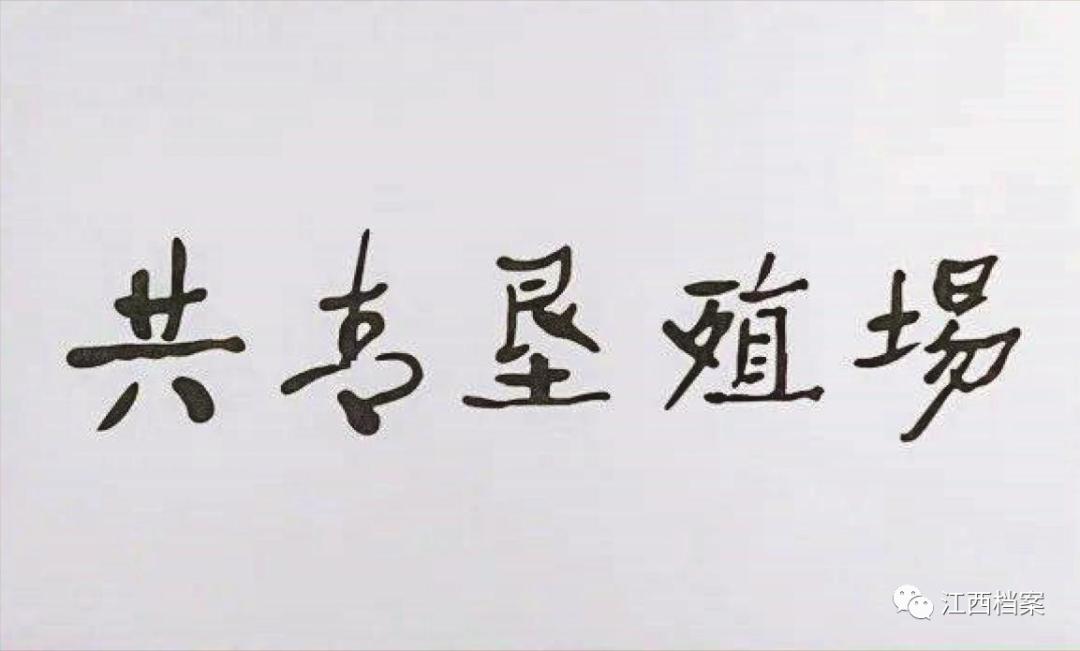 从档案中追寻这座城的变迁