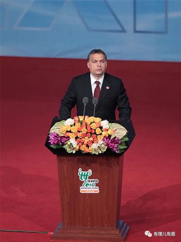 匈牙利国鸟大鸨鸟,匈牙利作为欧盟中的特立独行者