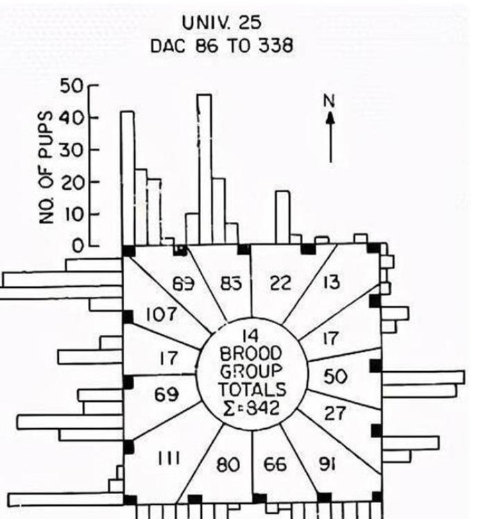 8只白鼠繁衍实验,美国8只老鼠的实验