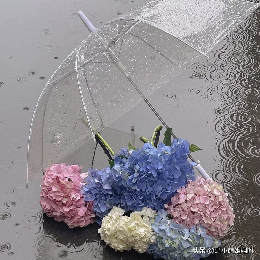 自媒体收入百万以上的有什么诀窍,如何让你的自媒体收入翻倍