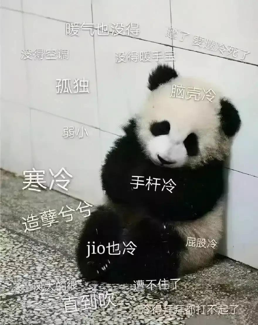 5000元以下口碑羽绒被大PK，参数对比加实测，搞定历史最冷冬天