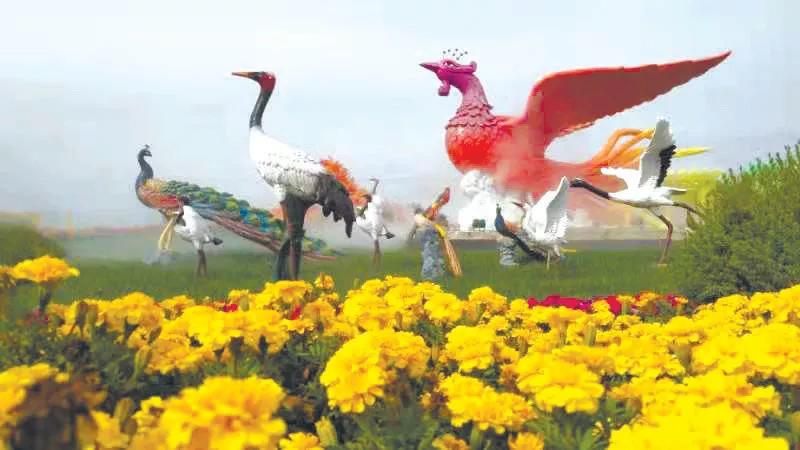 樊晓敏深圳,樊晓敏作者简介