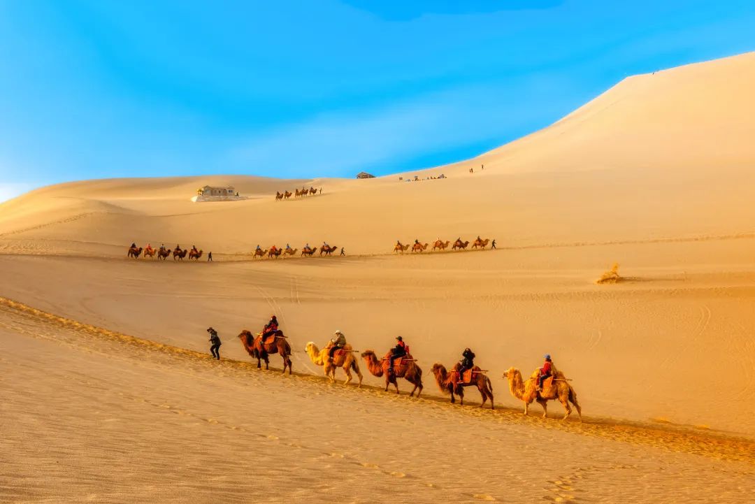 流失的珍贵壁画,一些壁画保留完整了几个世纪