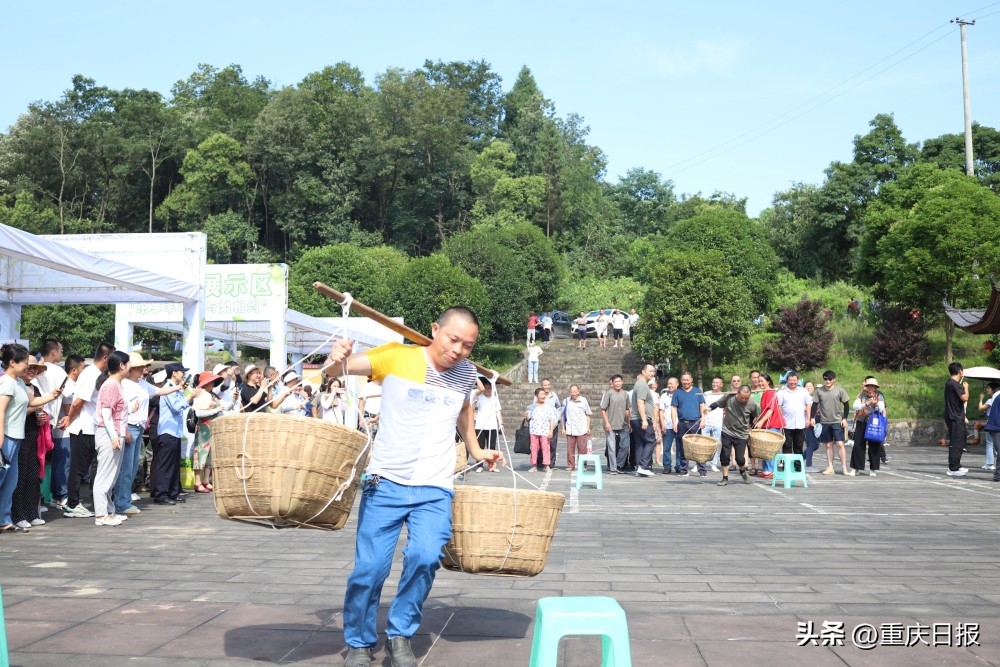 塘湾村高山生态水果产业园,覃塘区发展特色水果助力乡村振兴
