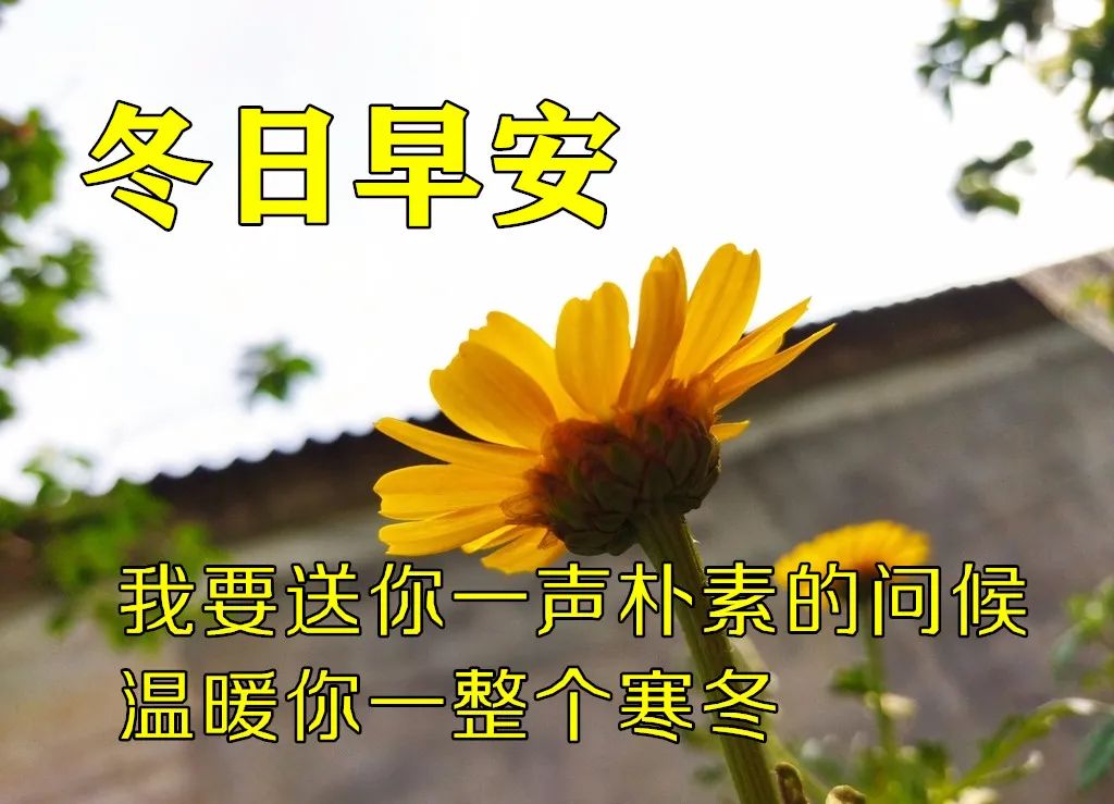 早晨好表情图片大全大图,下雨天的早晨好动态表情图片