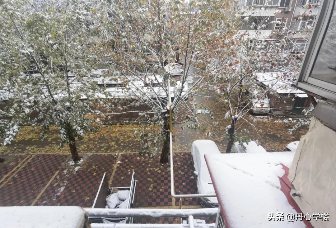 长安区二手房市场详解：最新房龄，最便宜次新房，成交量最高