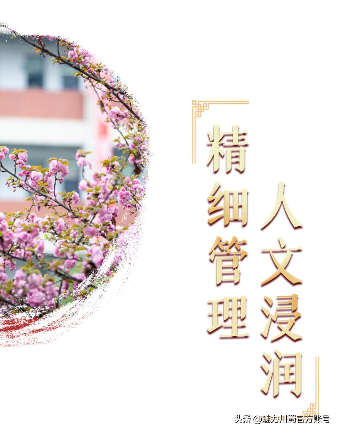 代码009，与未来快乐邂逅丨@中考学子，这里是绵阳中学实验学校