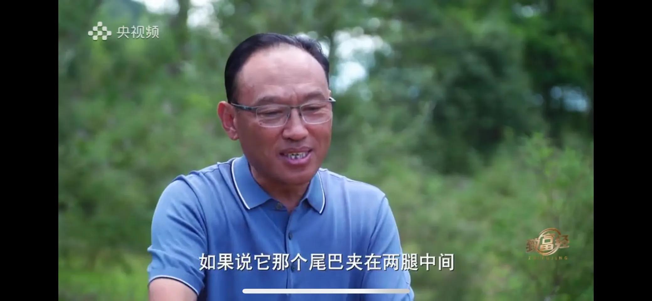 小伙子养猪5年后挣钱5多亿,农村小伙养猪赚过亿