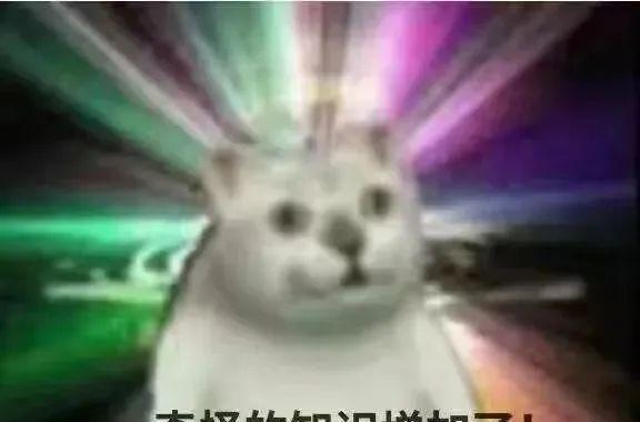 货代是啥专业,货代哪个公司比较好