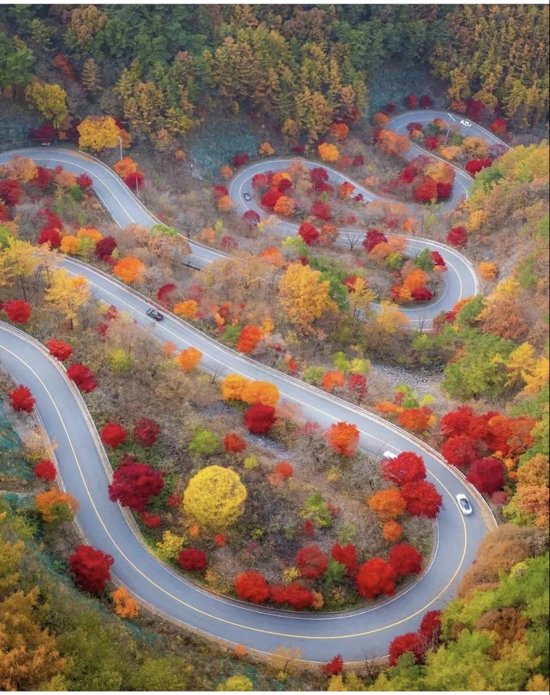 灯芯绒半身裙秋冬怎么搭配,灯芯绒碎花半身裙秋冬