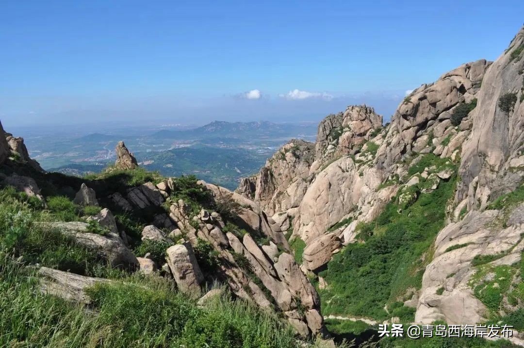 青岛冬天动物园野生动物世界,青岛野生森林动物园旅游攻略