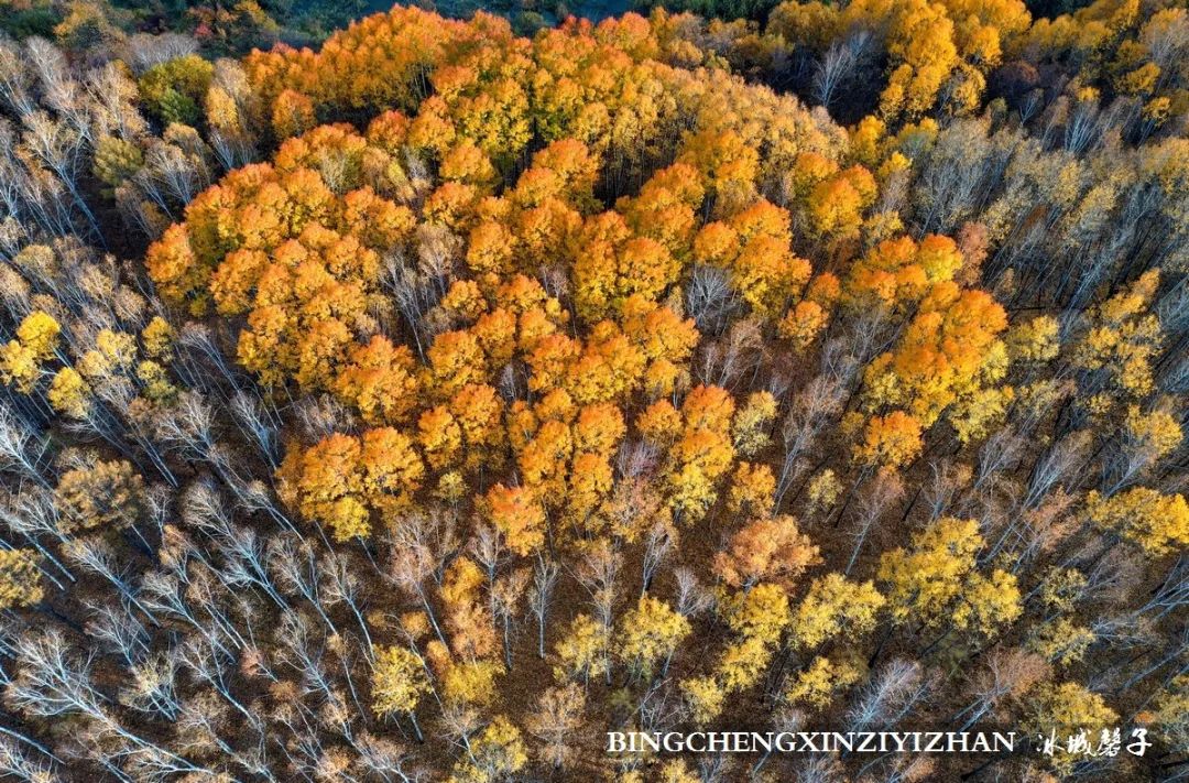 秋天大兴安岭最美的地方,秋天美丽的大兴安岭