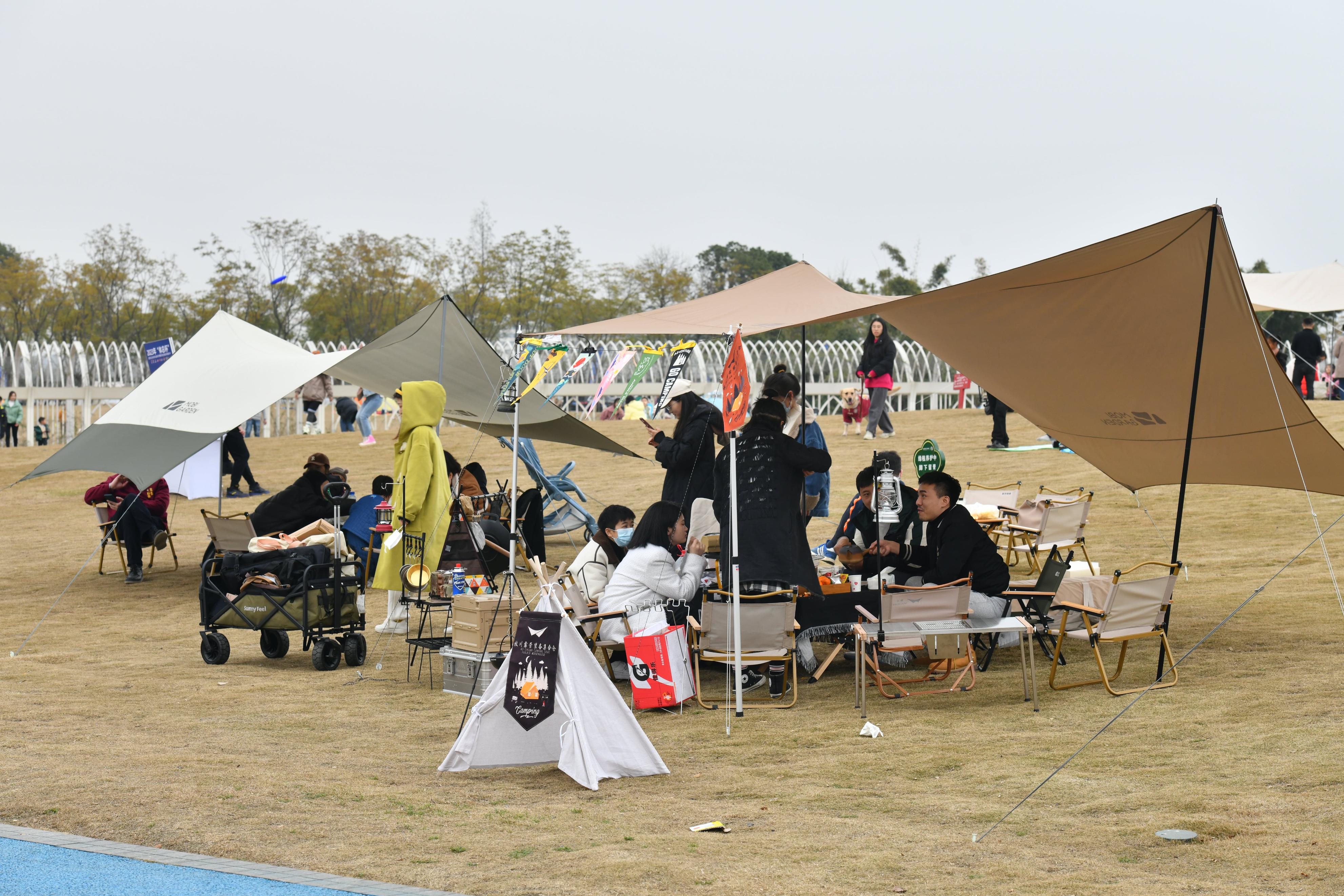 体育公园开展体育赛事,体育公园新赛事