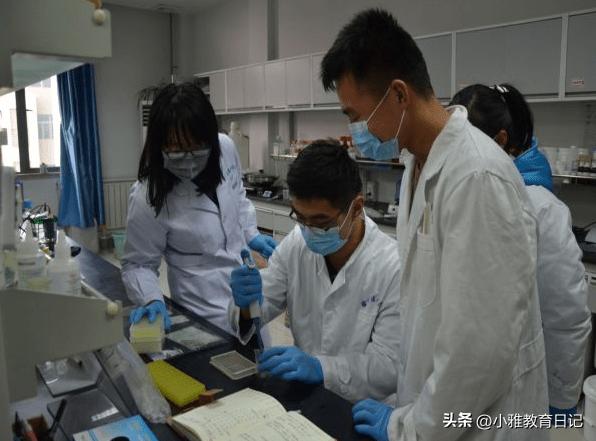 理科生高考报志愿选什么专业好,高考志愿填报学什么专业比较好