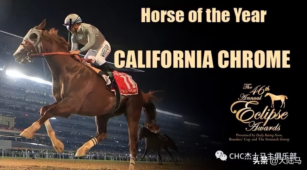 21世纪最伟大比赛,20世纪美国100匹顶级赛马排名