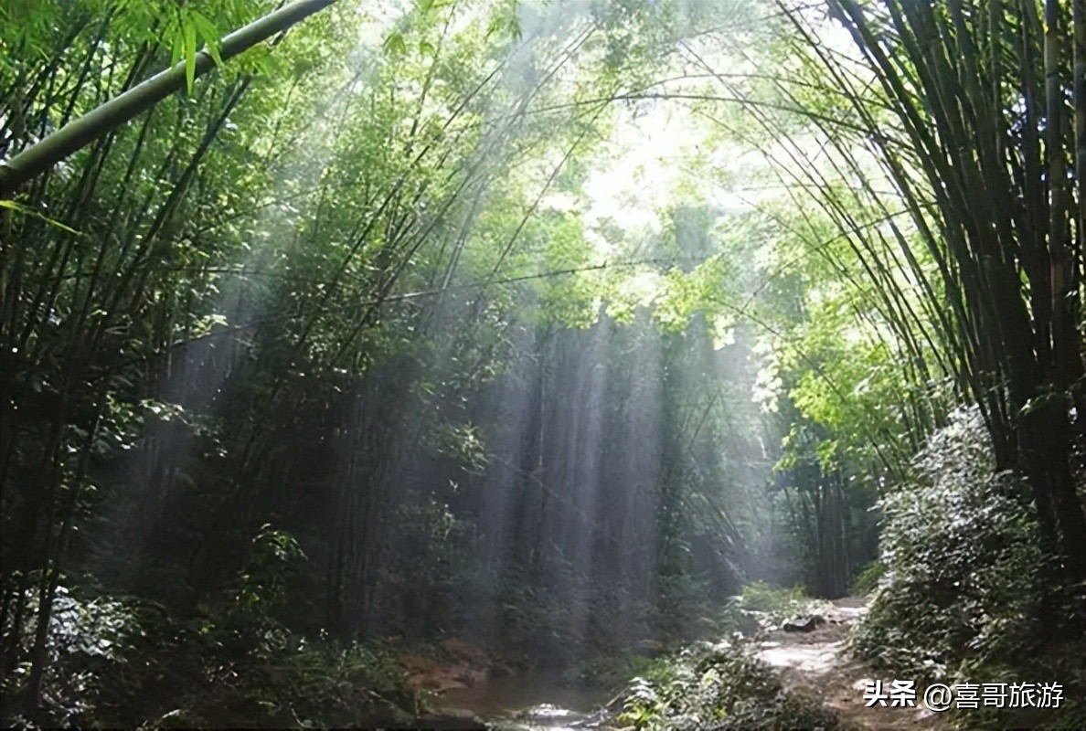 宜宾江安县旅游景点,宜宾市江安县旅游有些什么地方