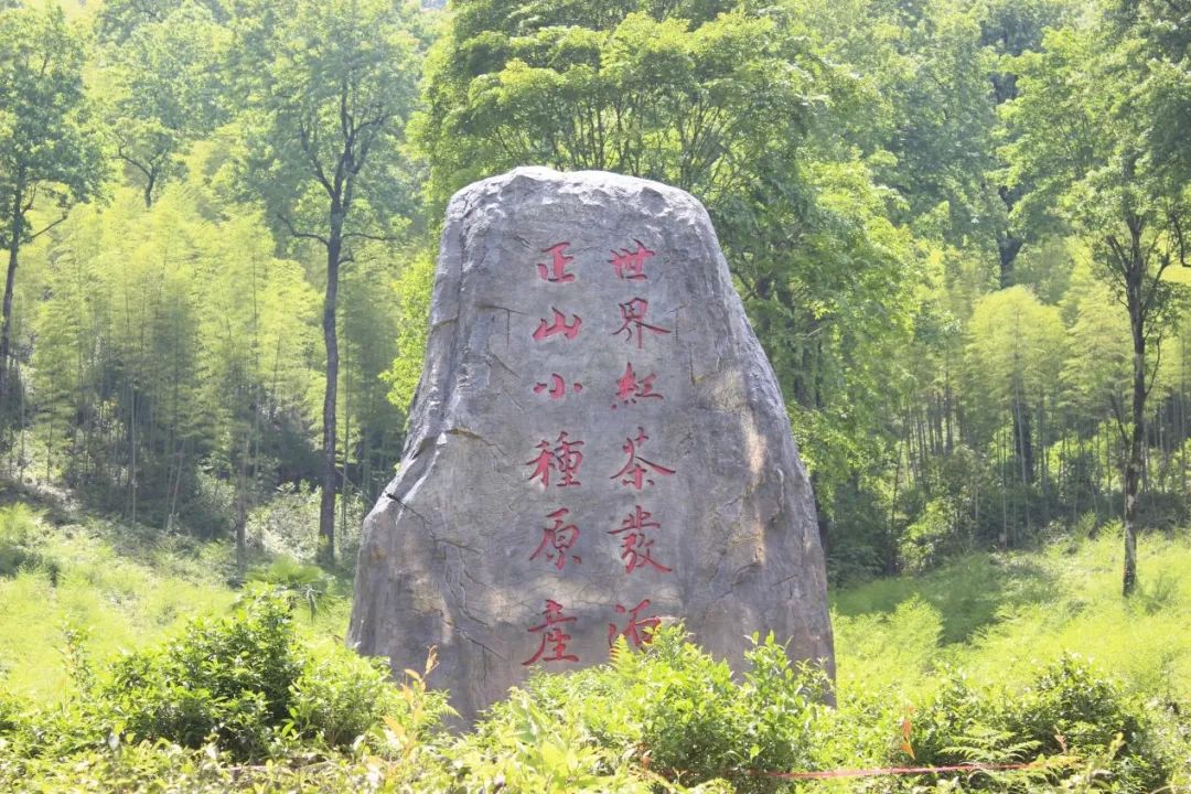 鍏夋辰骞插潙绾㈣尪姝e北灏忕,鍏夋辰姝e北灏忕绾㈣尪