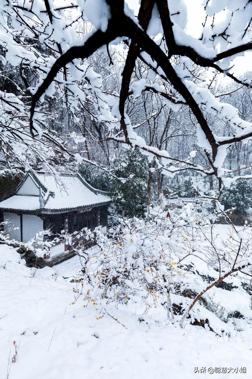 江苏镇江，比扬州安逸。这座有钱低调的小城，倦了就去小住几日