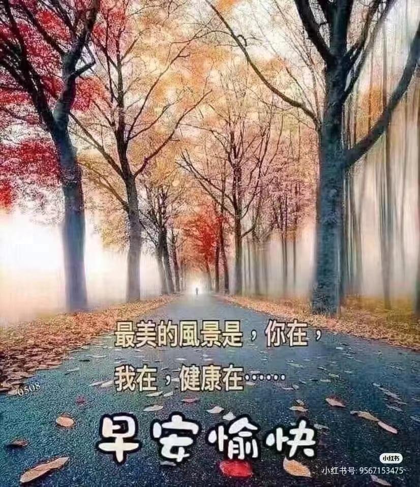 人生怎么才能潇洒,人生如何恣意潇洒