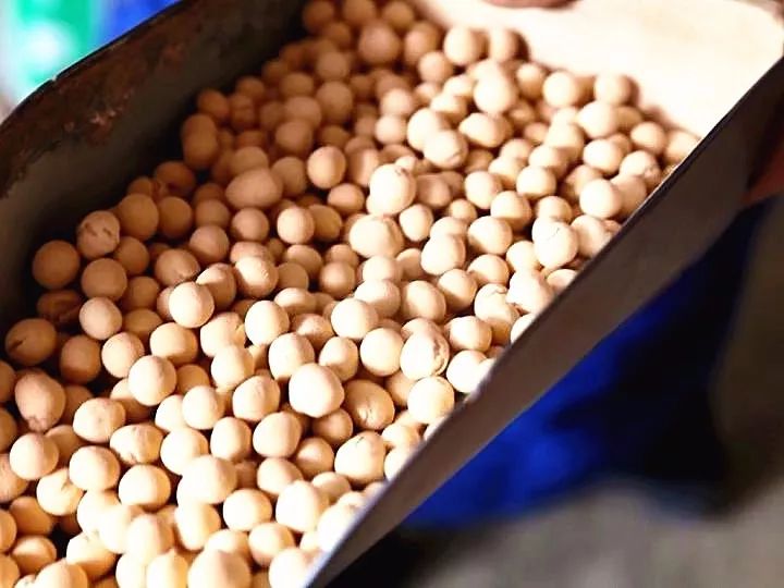 陕州面豆的功效与作用,陕州特产面豆制作视频