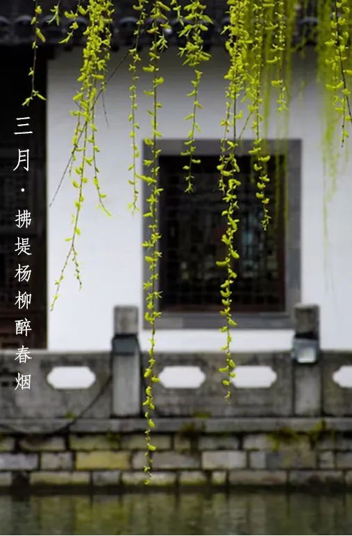 三月春光如诗如画,如诗如画的三月阳春