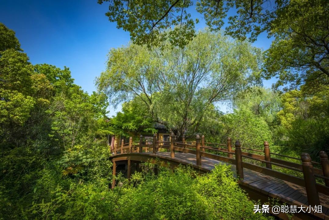 江苏镇江，比扬州安逸。这座有钱低调的小城，倦了就去小住几日