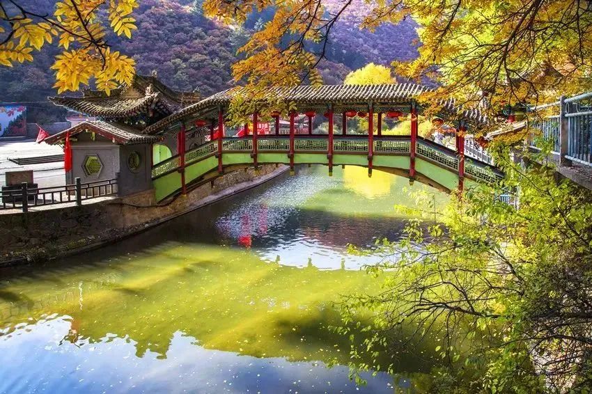 榄呭姏姒嗕腑瀹炲姏姒嗕腑,榄呭姏姒嗕腑缇庢櫙