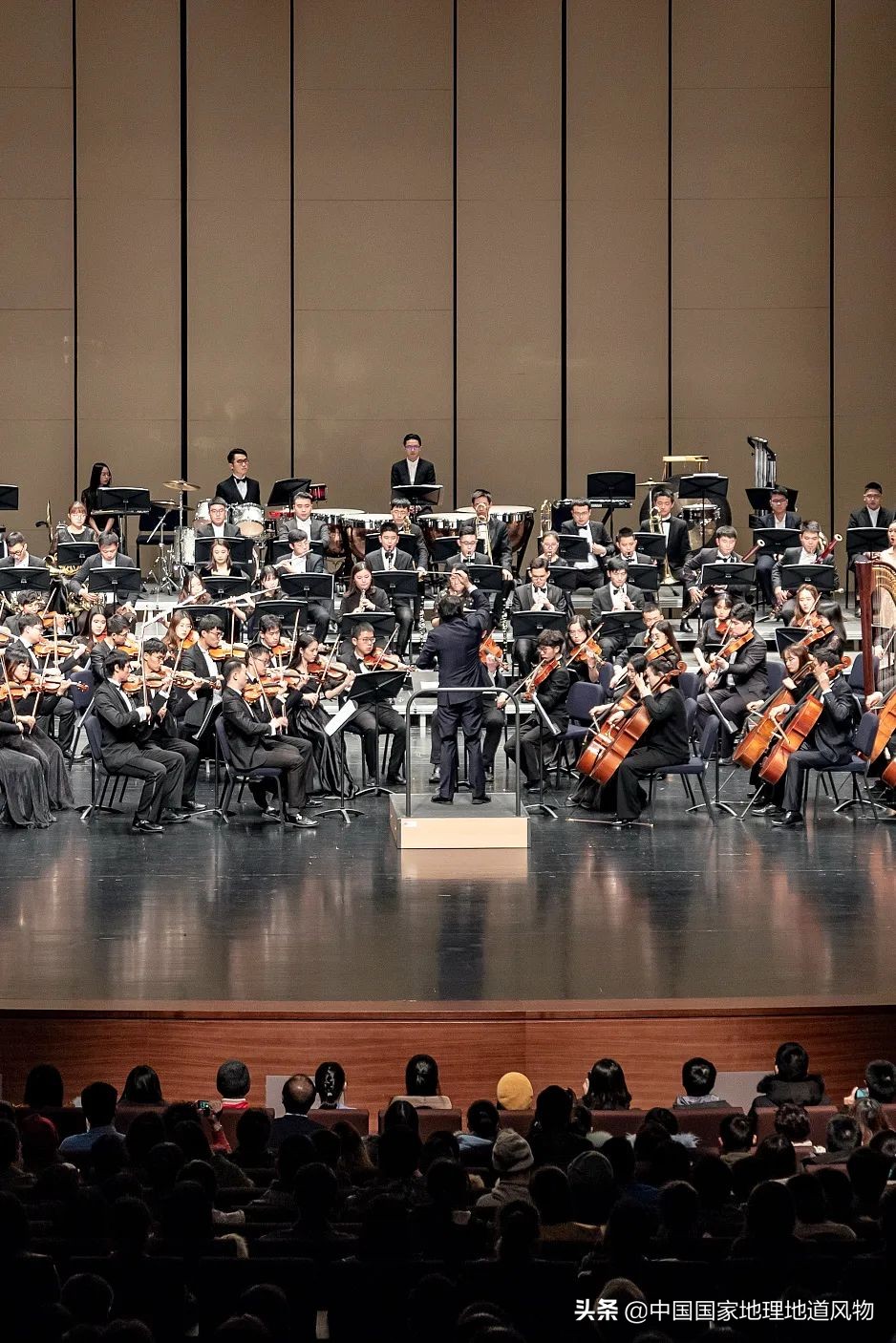 中南财经大学和中南大学法学对比,中南大学哪个系最强