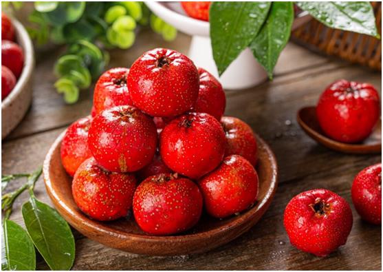 冬至吃什么水果养生好,冬至养生少不了的进补食物