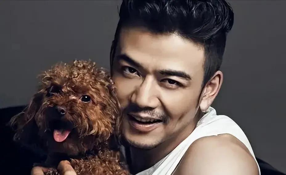 杨烁如何从爆红到销声匿迹,杨烁从年轻到现在颜值变化