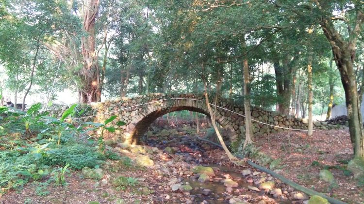 宁德市神农宫寺庙,宁德市神农宫5000年历史