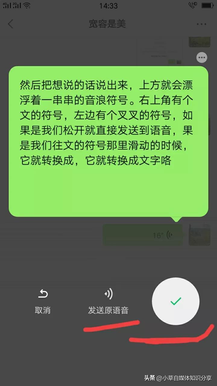 微信语音转文字带方言效果,微信语音转换文字设置地方方言