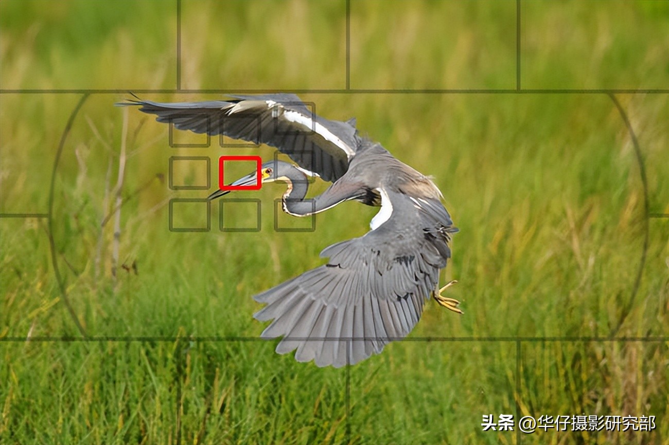 相机拍摄参数设置技巧,相机怎么调拍摄最好看