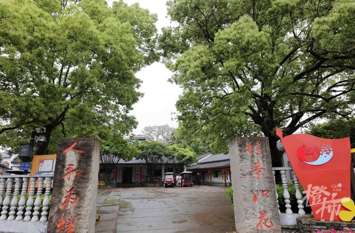 “五一”就在眼前，桂花村有点小焦虑：会有人来玩不？村里能火起来不？