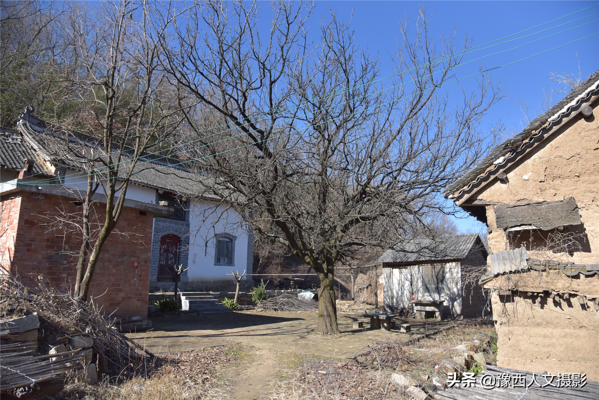 孤山坟墓葬在哪里好,孤山上的坟墓