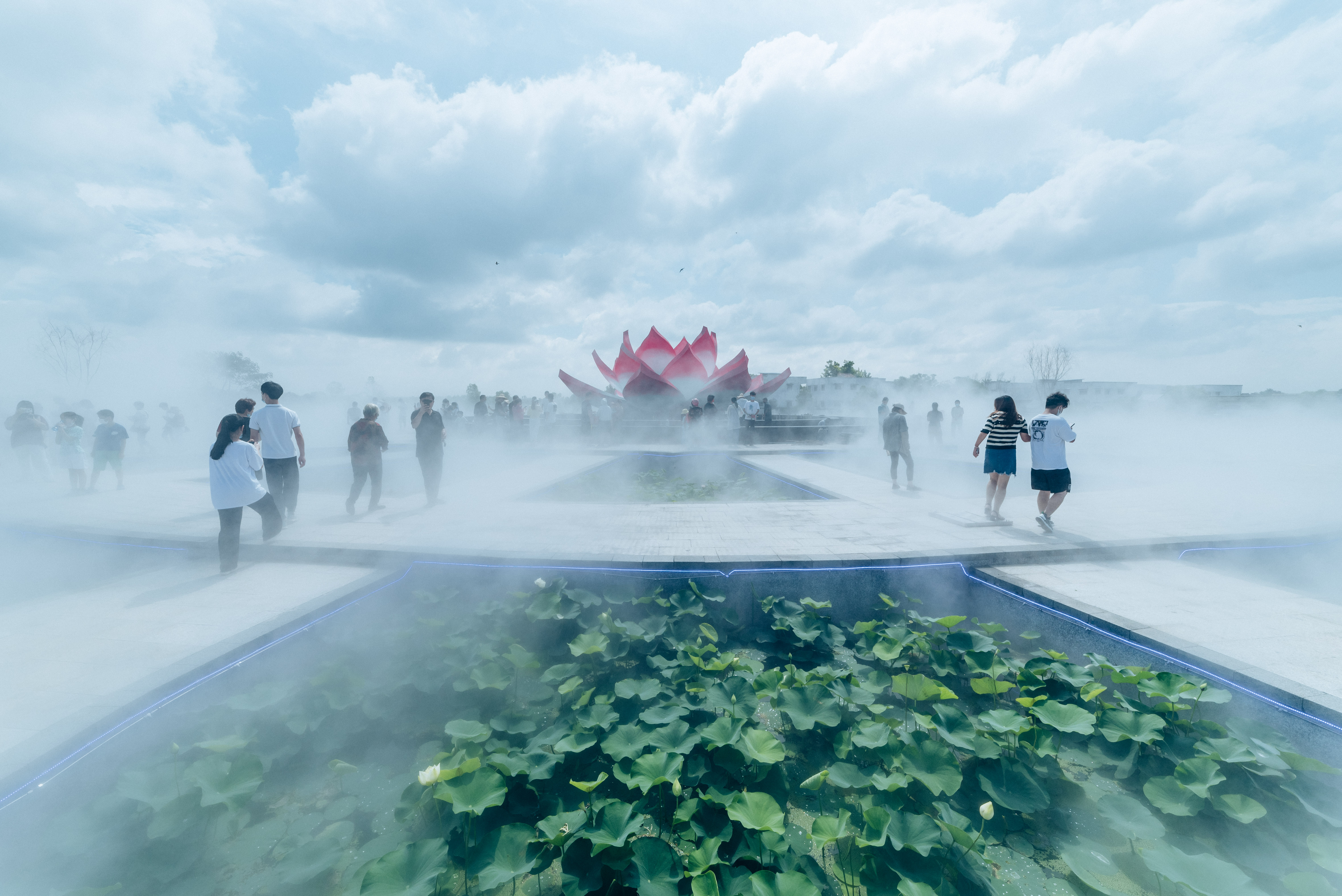 中国淮阳龙湖赏荷旅游月活动启动,淮阳龙湖湿地赏荷