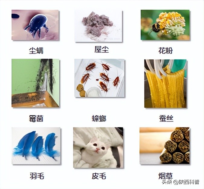 世界哮喘日义诊关注哮喘儿童,第25届世界哮喘日义诊暖人心