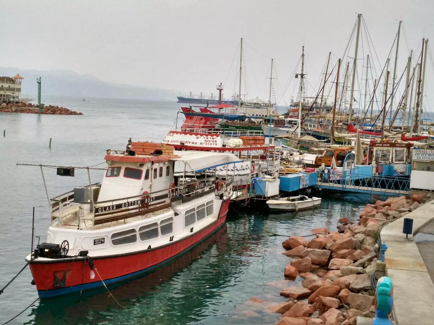 以色列犹太民族历史,以色列犹太民族的惨痛心酸历史