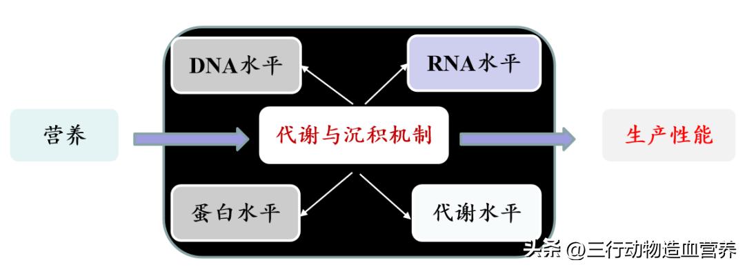 华南农业大学专家:氧气不仅是呼吸,还是一种营养